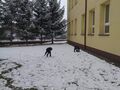 265554651 3065331010450095 6231500910559045579 n