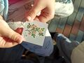 311407183 555932826337087 5593934664616693617 n