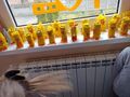 277757757 3148715075445021 456480729101829007 n